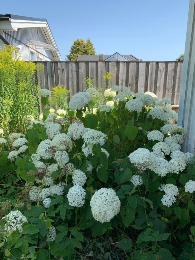 מאלמה Private House Parking Garden Sea Nature מראה חיצוני תמונה